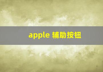 apple 辅助按钮